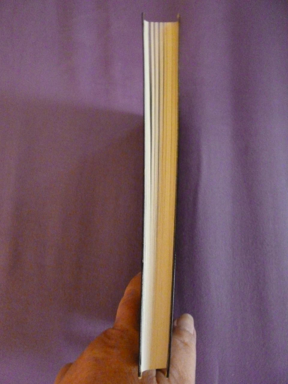 Bébé Bleu – photo 5